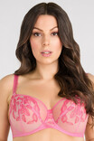 Bra Gorsenia Lollipop K846