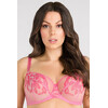 Bra Gorsenia Lollipop K846