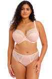 Трусики Elomi Lucie EL4496