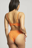 Купальные плавки Panache Golden Hour 1629