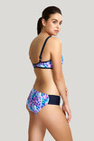 Купальные плавки Panache Aspyn 1179