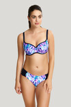 Купальные плавки Panache Aspyn 1179