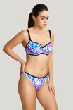 Купальный топ Panache Aspyn 1175